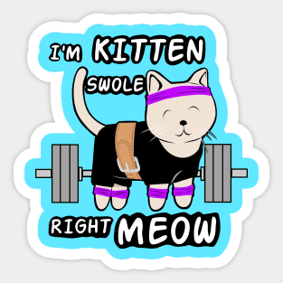 fitness girl, gym girl, cat lover Sticker